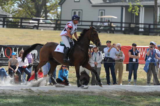 WEG2-10-2-10-EV-XX-5564-ImperialCavalier-MaryKing-DDeRosaPhoto