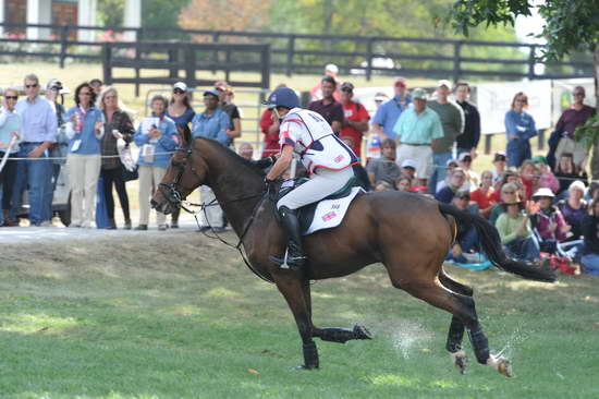 WEG2-10-2-10-EV-XX-5605-ImperialCavalier-MaryKing-DDeRosaPhoto