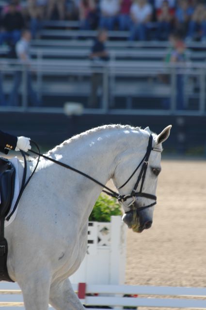 159-KimSeverson-TipperaryLiadhn-Rolex-4-25-08-DeRosaPhoto.jpg