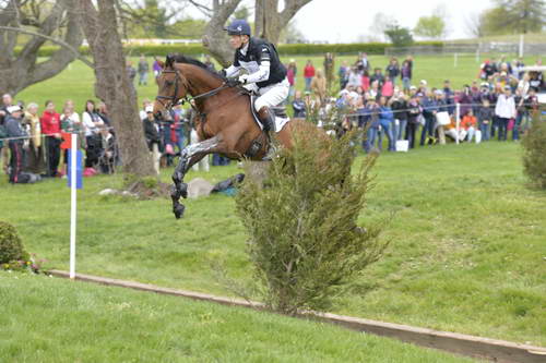 Rolex-4-27-13-XC-4082-WilliamFox-Pitt-GBR-SeacookieTSF-DDeRosaPhoto