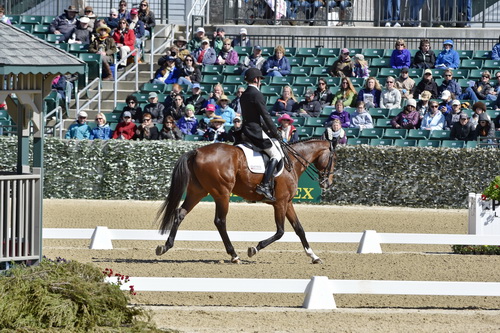 Rolex-DRE-4-23-15-1274-JamesAlliston-Parker-GBR-DDeRosaPhoto