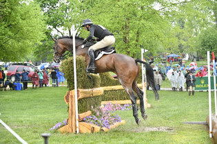 Rolex-XC-4-30-16-4726-MarkTodd-NZBCampino-NZL-DDeRosaPhoto
