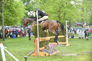 Rolex-XC-4-30-16-4727-MarkTodd-NZBCampino-NZL-DDeRosaPhoto