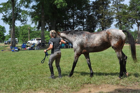 So8ths2-5-5-12-XCDay-3458-DDeRosaPhoto