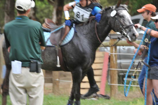 So8ths2-5-5-12-XCDay-3668-DDeRosaPhoto