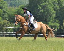 So8ths-5-4-12-Clinic-2687-SarahZimmer-MardiGras-DDeRosaPhoto