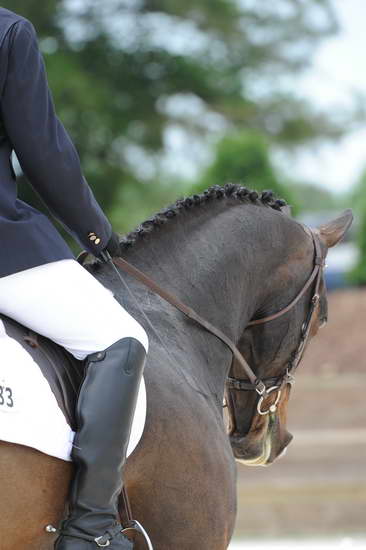 So8ths-5-4-12-Dressage-1261-TraeMeder-DirectFlight-DDeRosaPhoto