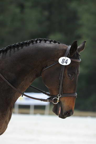 So8ths-5-4-12-Dressage-1281-SydneyParks-RunninAMuck-DDeRosaPhoto