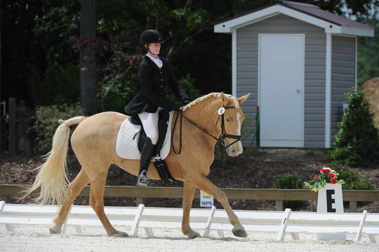 So8ths-5-4-12-Dressage-1417-JamieMiess-InTheZone-DDeRosaPhoto