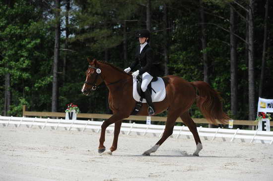 So8ths-5-4-12-Dressage-0869-KelseyBriggs-TheItalianJob-DDeRosaPhoto