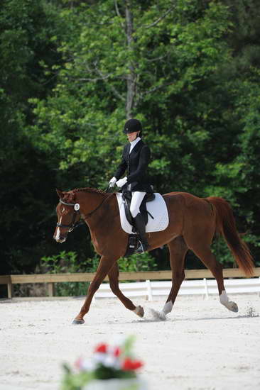So8ths-5-4-12-Dressage-0871-KelseyBriggs-TheItalianJob-DDeRosaPhoto