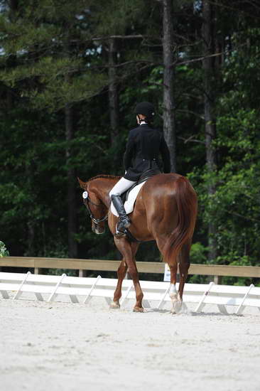 So8ths-5-4-12-Dressage-0891-KelseyBriggs-TheItalianJob-DDeRosaPhoto