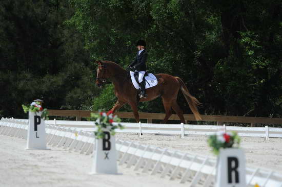 So8ths-5-4-12-Dressage-0922-KristinNeill-BigBonesBailey-DDeRosaPhoto