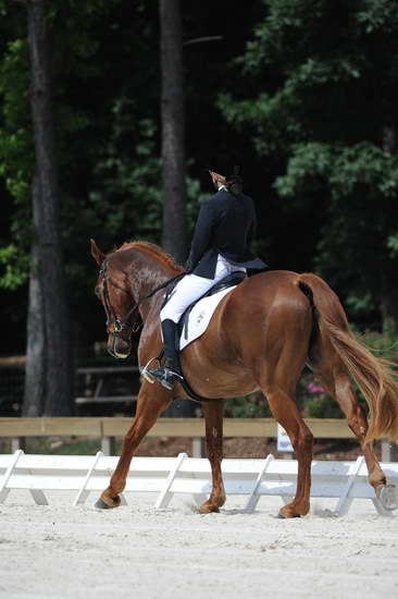 So8ths-5-4-12-Dressage-0930-KristinNeill-BigBonesBailey-DDeRosaPhoto