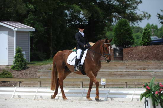 So8ths-5-4-12-Dressage-0940-KristinNeill-BigBonesBailey-DDeRosaPhoto