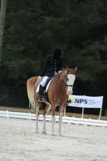 So8ths-5-4-12-Dressage-1046-BrianaTimmerman-ASplashofHenry-DDeRosaPhoto