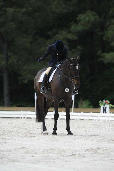 So8ths-5-4-12-Dressage-1141-SarahMorton-Womble-DDeRosaPhoto