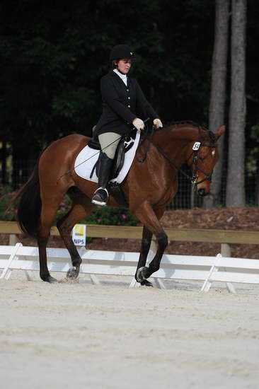 So8ths-5-4-12-Dressage-0435-LaurenTracey-Ransom-DDeRosaPhoto