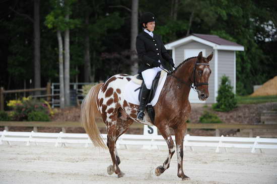 So8ths-5-4-12-Dressage-0486-JordanLambert-RioWild-DDeRosaPhoto