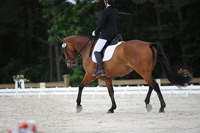 So8ths-5-4-12-Dressage-0569-RachelWade-Nicole-DDeRosaPhoto