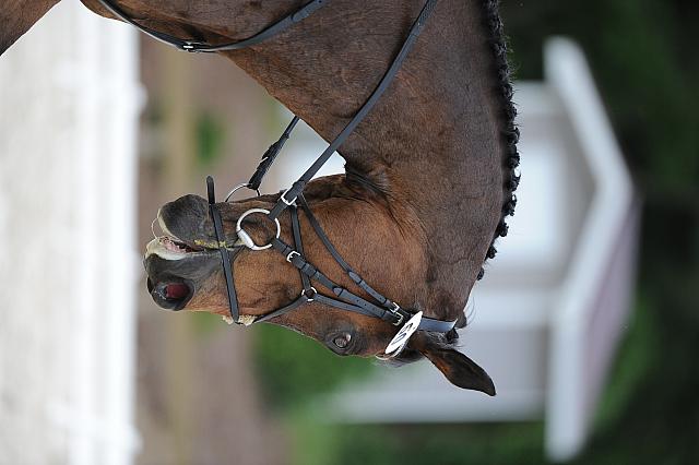 So8ths-5-4-12-Dressage-0645-GwenKriskie-Barney-DDeRosaPhoto