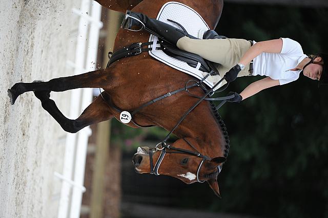 So8ths-5-4-12-Dressage-0696-AllieKeresman-MysticDora-DDeRosaPhoto