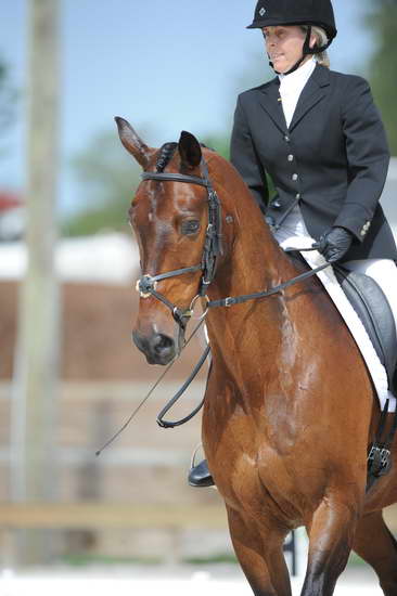 So8ths-5-4-12-Dressage-0739-HeidiBeaumont-SouthBoundary-DDeRosaPhoto