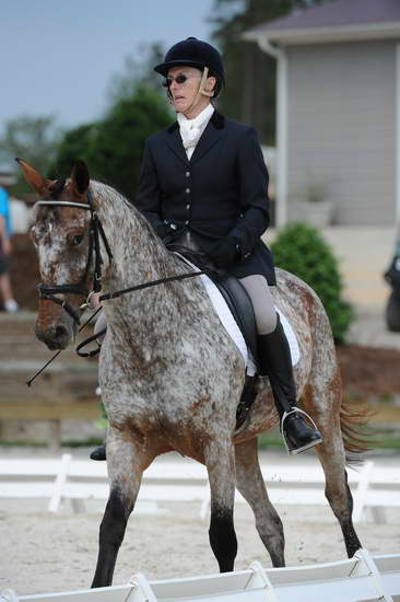 So8ths-5-4-12-Dressage-0804-RisaMoon-LilyB-DDeRosaPhoto