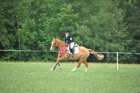 So8ths-5-6-12-SJDay-5285-SarahZimmer-MardiGras-DDeRosaPhoto