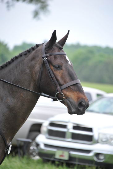 So8ths-5-6-12-SJDay-4925-SarahMorton-Womble-DDeRosaPhoto