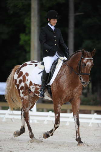 So8ths-5-4-12-Dressage-0458-JordanLambert-RioWild-DDeRosaPhoto