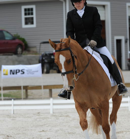 So8ths-5-4-12-Dressage-1373-SarahZimmer-MardiGras-DDeRosaPhoto
