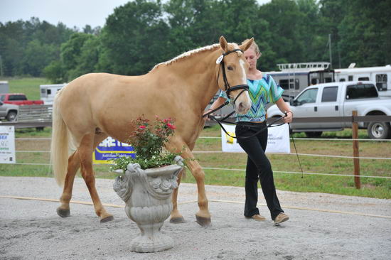 So8ths-5-6-12-SJDay-4277-JamieMiess-InTheZone-BN3D-DDeRosaPhoto