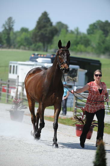 So8ths-5-3-12-1stJog-0210-LindsayStaianoWilliams-TriumphII-TR-DDeRosaPhoto