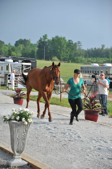 So8ths-5-6-12-SJDay-4131-KerryTracey-BourbonGingerbear-T3D-DDeRosaPhoto