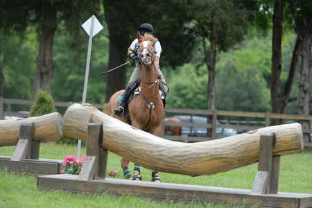 So8ths-5-4-13-XC-7034-CarolMahoney-MercuryRising-DDeRosaPhoto