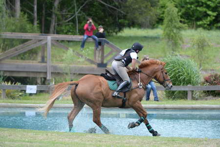 So8ths-5-4-13-XC-7081-CarolMahoney-MercuryRising-DDeRosaPhoto