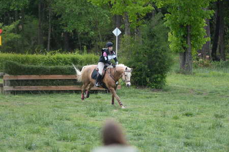 So8ths-5-4-13-XC-7126-TaylorPence-Goldie-DDeRosaPhoto