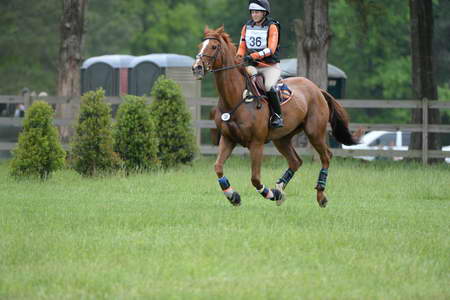 So8ths-5-4-13-XC-6594-SamanthaDiMaria-Valentine-DDeRosaPhoto