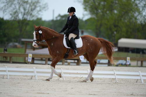 So8ths-5-3-13-Dressage-5317-ErinHite-Codachrome-DDeRosaPhoto