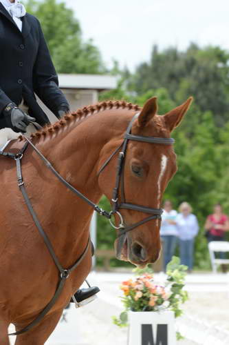 So8ths-5-3-13-Dressage-5437-PaitonKeen-WorthTheWait-DDeRosaPhoto