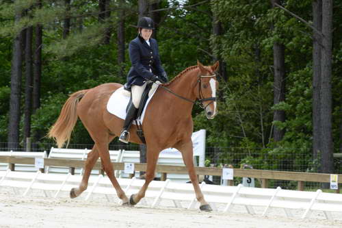 So8ths-5-3-13-Dressage-5546-CarolMahoney-MercuryRising-DDeRosaPhoto