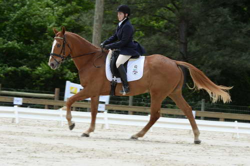 So8ths-5-3-13-Dressage-5556-CarolMahoney-MercuryRising-DDeRosaPhoto