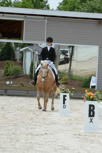 So8ths-5-3-13-Dressage-5571-TaylorPence-Goldie-DDeRosaPhoto