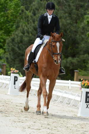 So8ths-5-3-13-Dressage-5253-SamanthaDiMaria-Valentine-DDeRosaPhoto