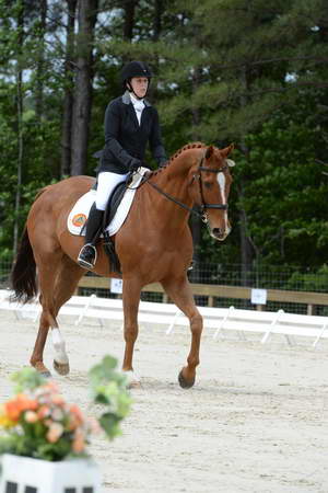 So8ths-5-3-13-Dressage-5263-SamanthaDiMaria-Valentine-DDeRosaPhoto