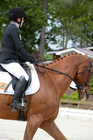 So8ths-5-3-13-Dressage-5278-SamanthaDiMaria-Valentine-DDeRosaPhoto
