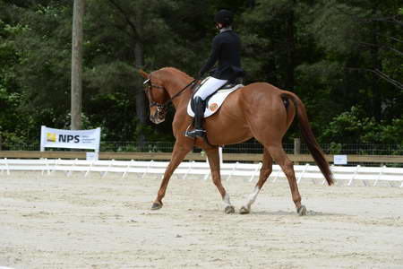 So8ths-5-3-13-Dressage-5291-SamanthaDiMaria-Valentine-DDeRosaPhoto