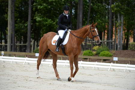 So8ths-5-3-13-Dressage-5311-SamanthaDiMaria-Valentine-DDeRosaPhoto
