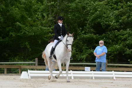 So8ths-5-3-13-Dressage-4863-LaurieWettstone-Moonstruck-DDeRosaPhoto